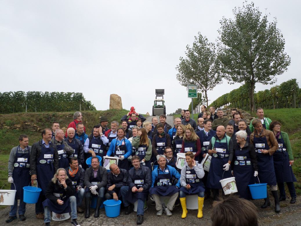 Charityweinlese Weingut Steyrer Kuffern Traisental